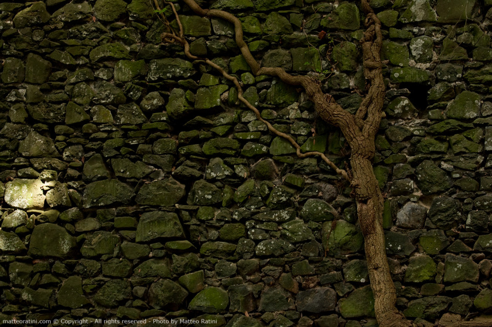 Caves_and_Crypts-Photo_by_Matteo_Ratini-All_rights_reserved_(39)