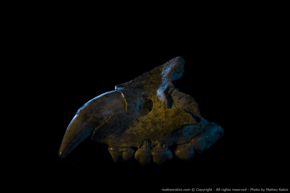 Caves_and_Crypts-Photo_by_Matteo_Ratini-All_rights_reserved_(62)