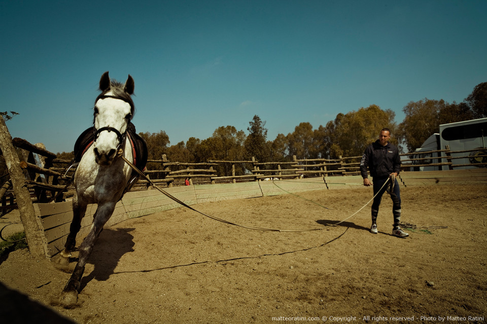 Riding_stables_lifestyle-Photo_by_Matteo_Ratini-All_rights_reserved_(10)