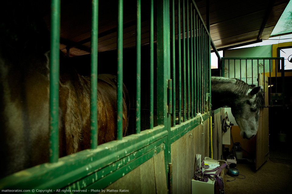 Riding_stables_lifestyle-Photo_by_Matteo_Ratini-All_rights_reserved_(18)