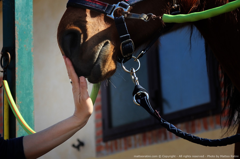 Riding_stables_lifestyle-Photo_by_Matteo_Ratini-All_rights_reserved_(53)